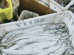 -王四营海鲜市场