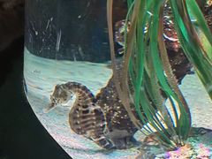 -沈阳海洋探索中心