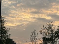 -东坡羽毛球馆(东坡南一路店)