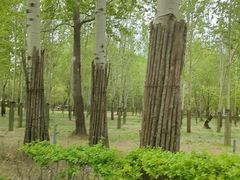 -秦皇岛野生动物园