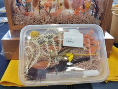 -北京之星奔驰4S店(亦庄店)
