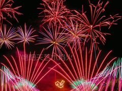 -南宁花花大世界景区