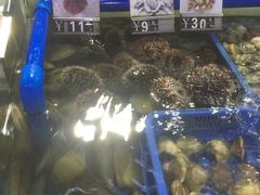 -清水湾3号(东方小周海鲜店)