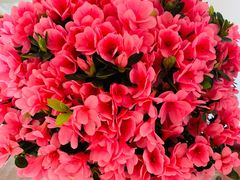 -三旗百汇商品城