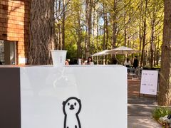 -陆家嘴中心绿地