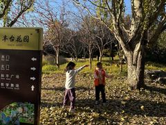 -丰台花园