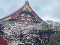 -浅草寺