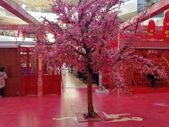 -万达广场(泰州海陵店)