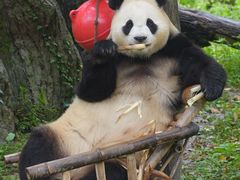 -牛扒先生·厚切雪花牛扒西餐厅(北京路禺山路店)