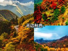 -神农架景区