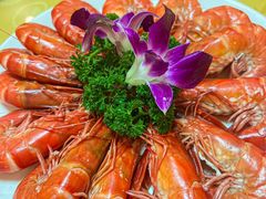 -兴隆槟榔园休闲农庄