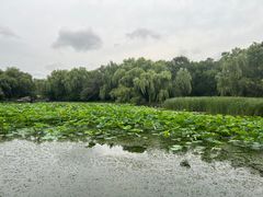 -北陵公园