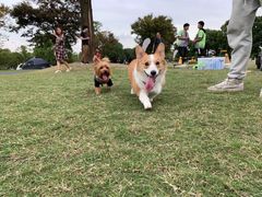 -上海月湖雕塑公园