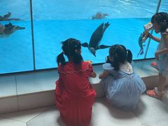 -帝企鹅自助餐厅•儿童岛•真企鹅(长隆企鹅酒店)