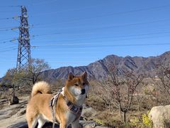 -白水寺森林公园