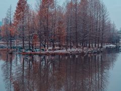 -白塘生态植物园