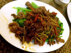 -肥信潮菜(科新路店)