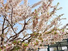 -青岛鑫江温德姆酒店