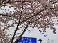 -永乐路-路侧停车场