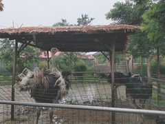 -兴芮温泉度假区