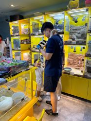 -神奇动物撸宠馆·羊驼·小浣熊·异宠(豫园店)