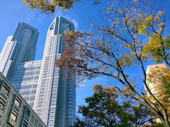 -东京都厅舍