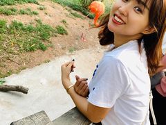 -青岛森林野生动物世界