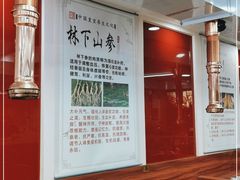 -朴小妹人参鸡汤火锅(长白山万达店)