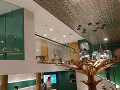 -飞行喵MR PILOT|猫舍·猫咖(静安大融城店)