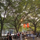 重庆文化宫大剧院打卡攻略