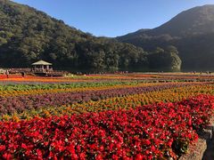-广州市石门国家森林公园