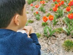 -上海植物园-4号门售票处