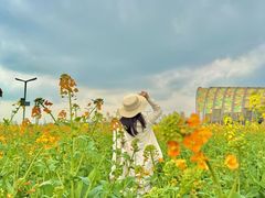 -中国天府农业博览园