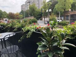 -Garden花園造型