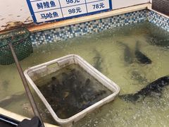 -锅老头铁锅炖•大锅蒸汽海鲜(韩乐坊店)