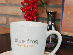 -blue frog蓝蛙(长泰广场店)