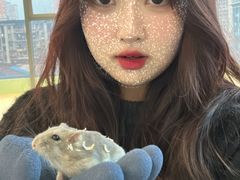 -怪兽屋·羊驼·猫咖·狗咖(俊华广场店)