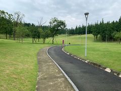 -成都保利公园皇冠假日酒店(熊猫基地店)