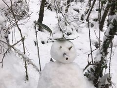 -九峰山