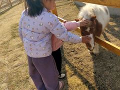 -红山体育乐园