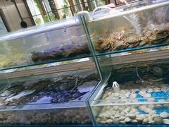 -四海蒸鲜蒸汽海鲜自助(北戴河店)
