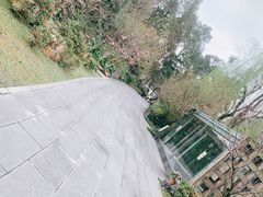-成都杜甫草堂博物馆