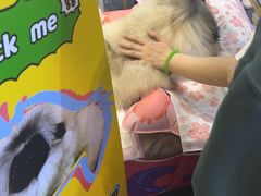 -东浩兰生上海世博展览馆