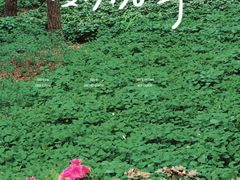 -临平公园(临平街道)