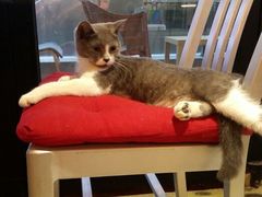 android_upload_pic-MIKAKU(万达广场上海宝山店)