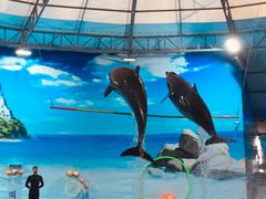 -尼莫海豚馆