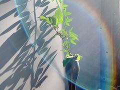 -苏州本色美术馆