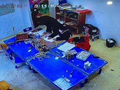 -尼莫儿童美术(三阳路融科天城校区)