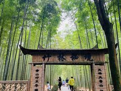 -大奇山国家森林公园
