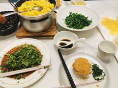 -丁老爷子苏香圆